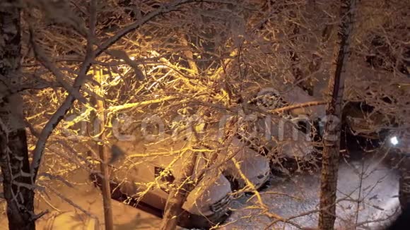 路灯照着白雪覆盖的树木视频的预览图
