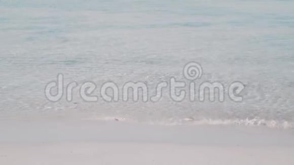 巴利阿里岛森林海滩透明波浪视频的预览图