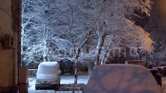 白雪覆盖的树在天空中视频的预览图