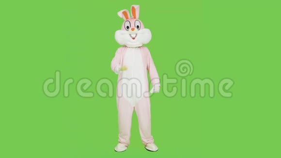 穿着成人复活节兔子套装的坏蛋或恶霸想打架杀青视频的预览图