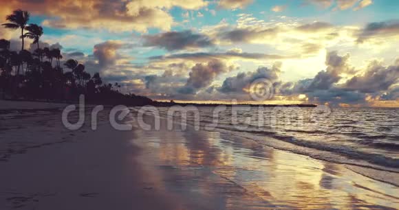棕榈树和热带岛屿海滩多米尼加共和国蓬塔卡纳的日出拍摄地视频的预览图