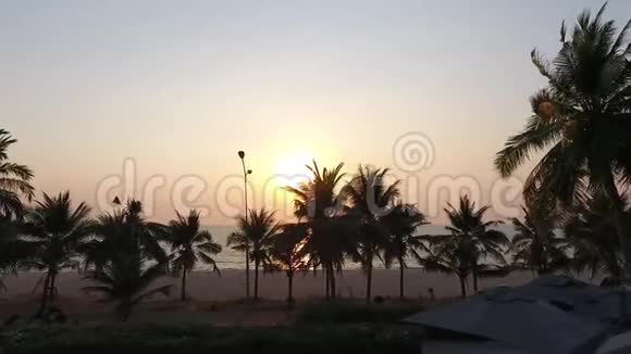 美丽的日落穿过海岸的棕榈树视频的预览图