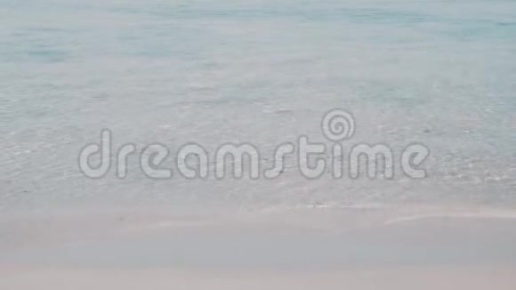 巴林岛森林透明波浪海滩视频的预览图