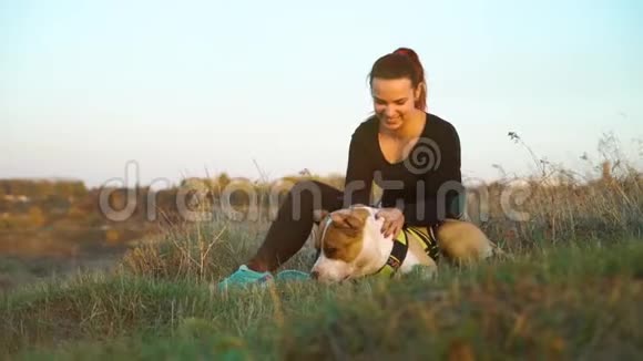 快乐的女孩在夕阳下的高草中抚摸美国斯塔福德郡的猎犬视频的预览图