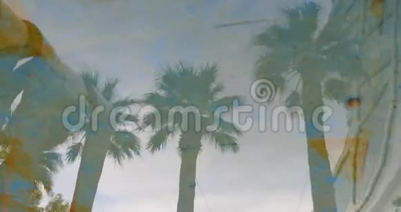 热带棕榈树在波浪水面上的反射假期和旅行视频的预览图