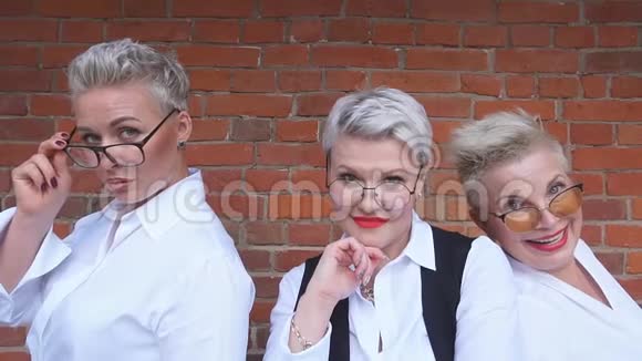 一群白种人金发碧眼的女商人穿着办公室时髦的衣服摆姿势视频的预览图