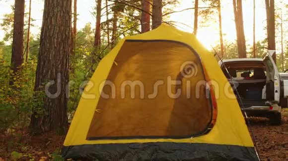 早上在森林露营帐篷里醒来的旅游女孩年轻女孩在游客的日出中伸展双手视频的预览图