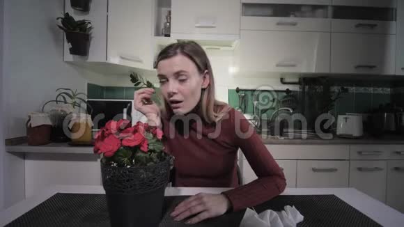 患有呼吸道疾病的年轻妇女对开花房植物过敏打喷嚏和用手帕擦拭视频的预览图