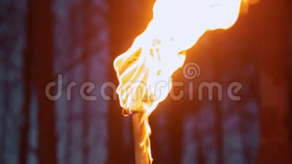 手工火炬一块布在棍子上燃烧视频的预览图