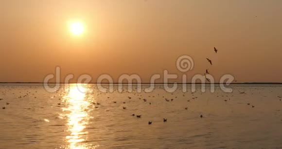 在大海或河流上美丽的日落上渔夫在船上的剪影视频的预览图