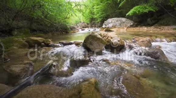 森林里的一条小河绿树环绕的电影溪流视频的预览图