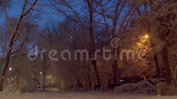 冬天的童话故事城市的夜间降雪视频的预览图
