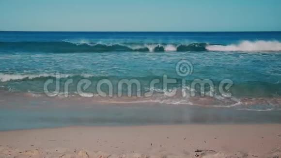 巴利阿里岛森林阳光日海滩视频的预览图