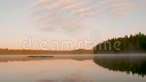 秋林旁湖上晨雾视频的预览图