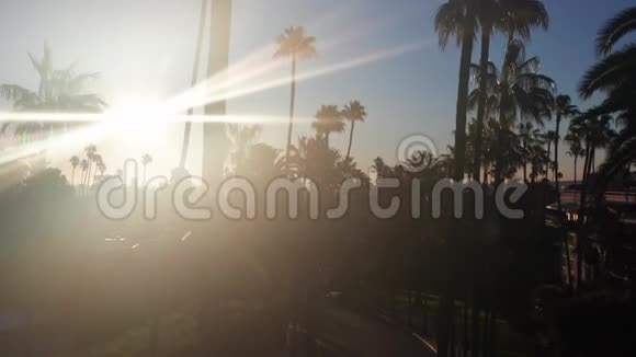 棕榈和太阳壮观的起重机视频比弗利山社区在洛杉矶加利福尼亚州视频的预览图