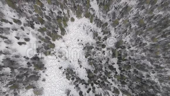 冰冻树的俯视图飞过白雪公主伍兹空中景观美丽的冬季背景视频的预览图