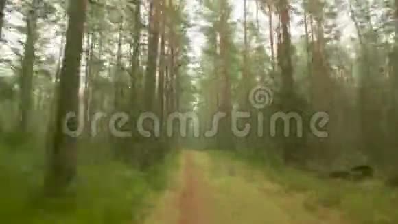 秋天森林的步道时间流逝的角度视频的预览图