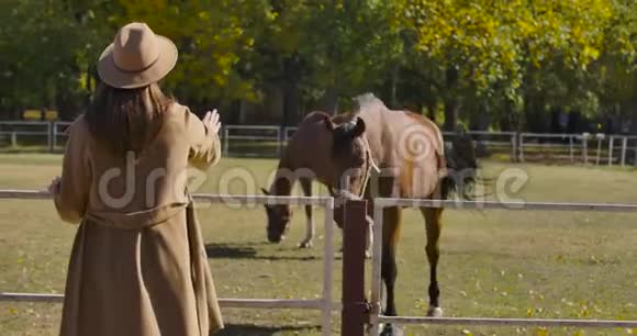 年轻的高加索女人长着棕色的长发带着优雅的棕色马来到科拉尔穿着优雅外套戴帽子的女孩视频的预览图