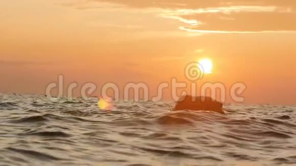 一个女人从水中翻滚而出的剪影在黎明时起的起的的头发围成一个圆圈一个女孩在游泳视频的预览图