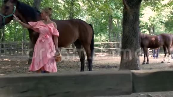 一个穿着粉红色连衣裙和粉红色太阳镜的女孩从柳条篮子里喂马围场里有苹果4k4k录像一个女孩视频的预览图