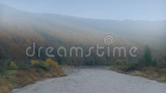 秋天的雾蒙蒙的山谷里的河流视频的预览图
