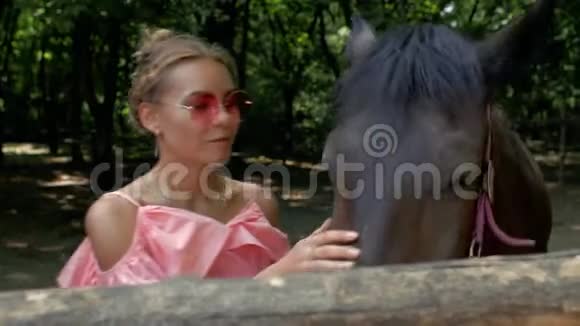 一个穿着粉红色太阳裙的年轻女孩在围场里抚摸着漂亮的棕色马4k4k视频一个有胎记的年轻女孩的肖像视频的预览图