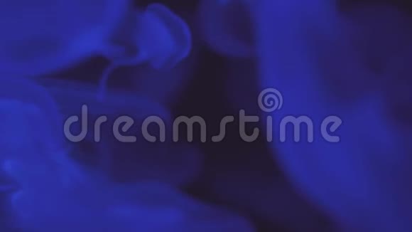 霓虹紫水母在水下用彩光照射海水咸水水族馆里的水母多种颜色视频的预览图