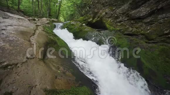 夏季阿尔卑斯山上一条山溪的鸟瞰图森林中的清水视频的预览图