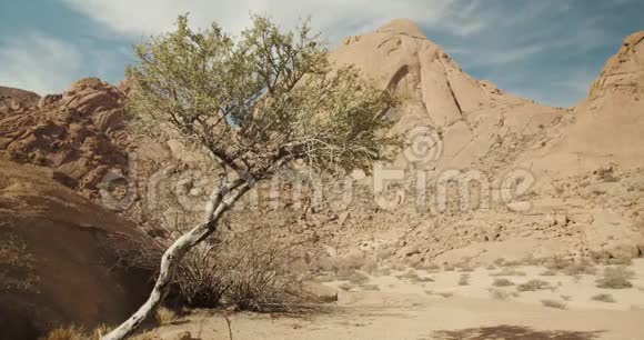 纳米比亚Erongo大山前景上的干燥沙漠植物视频的预览图