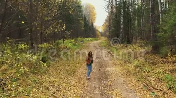 高加索人妇女在森林公路上奔跑的鸟瞰图在阳光明媚的五颜六色的树梢上树叶在转动视频的预览图