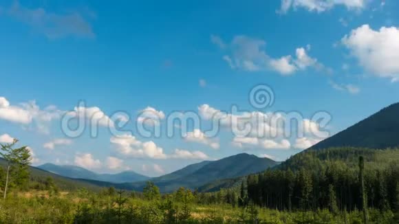 美丽的青松林立的山谷和白云在蓝天下飘荡在灿烂的夏日时光流逝视频的预览图