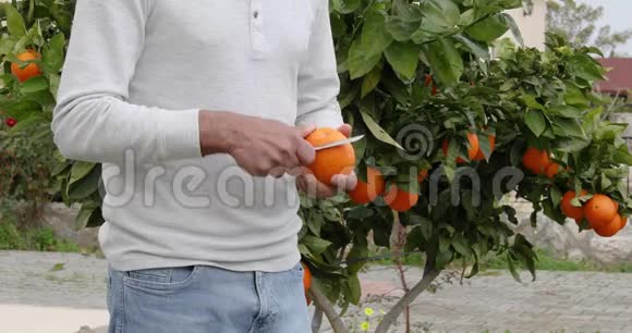 人们花园里用刀子剥橘子4KUHD视频4096X2160视频的预览图