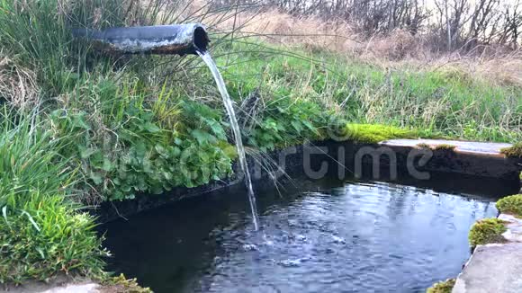 公共喷泉天然纯净水源视频的预览图