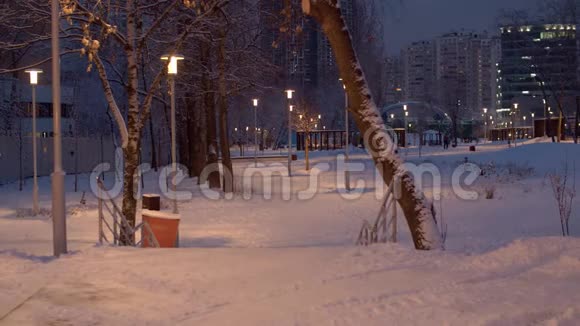 雪后覆盖着新雪的公园全景视频的预览图