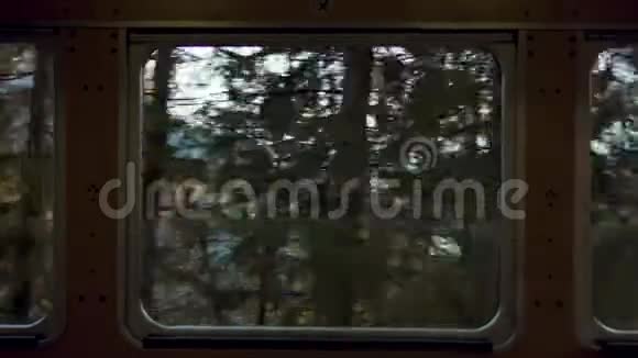 窗户中的森林和山体背景视频的预览图