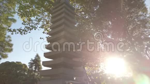 日本宝塔树后金色小时太阳光线电影视频的预览图