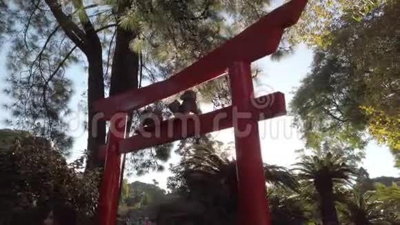 布宜诺斯艾利斯日本花园日落时拍摄的一张红色木托视频的预览图