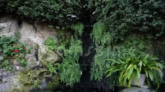 位于塞浦路斯岛凯里尼亚附近的Bellapais小村庄或小镇上美丽的小天然瀑布A视频的预览图