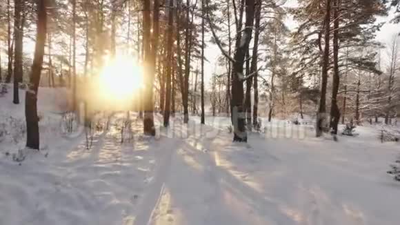 日落时分在冬林积雪的道路上行驶视频的预览图
