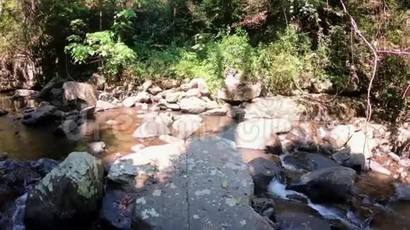 泰国独特的自然有瀑布的丛林视频的预览图
