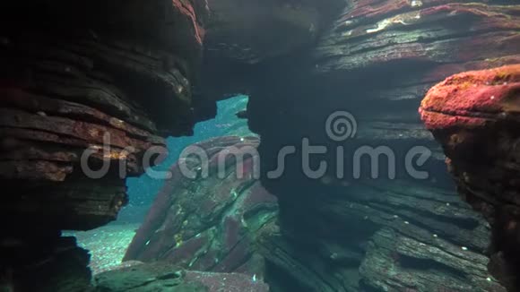 红海的水下洞穴视频的预览图