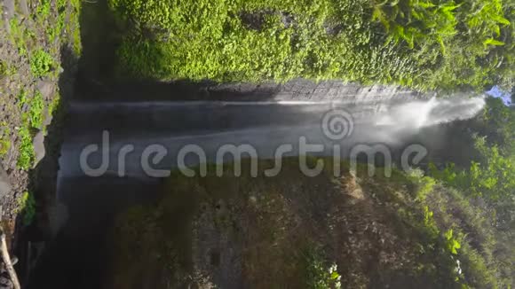 垂直视频巴厘岛最大的瀑布塞库普尔瀑布旅游巴厘岛概念视频的预览图