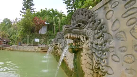 在巴厘岛著名的班贾尔温泉里瀑布从龙口流出巴厘旅行概念视频的预览图