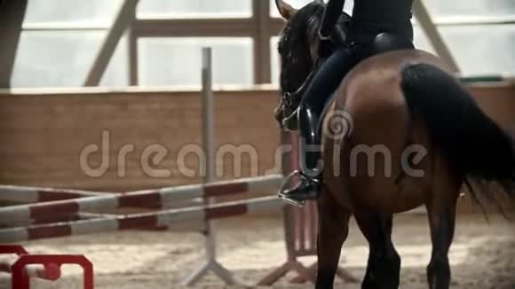年轻女子骑着马在室内的河马场上视频的预览图