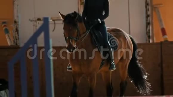 赛马场一个骑着一匹马的马友友骑着马视频的预览图