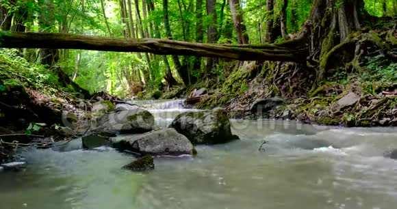 一条湍急的河流在野外视频的预览图