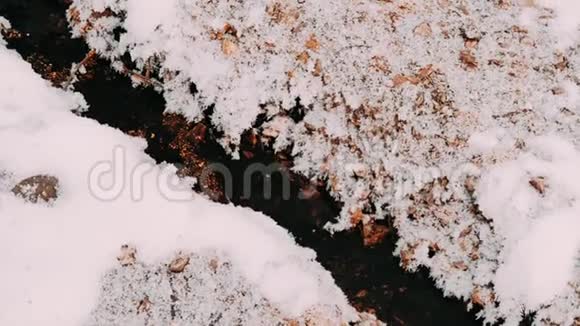 冬天的山涧流水视频的预览图