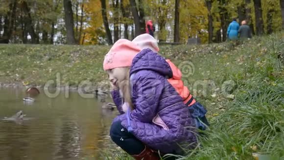 五岁的小女孩秋天在湖里喂鸭子视频的预览图