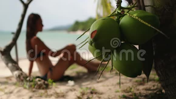 坐在海岸线棕榈下的无忧无虑的女人视频的预览图