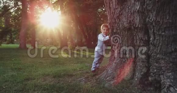 非常可爱和有趣的男孩躲在公园中央的一棵大树旁边他穿着一套漂亮时尚的西装视频的预览图
